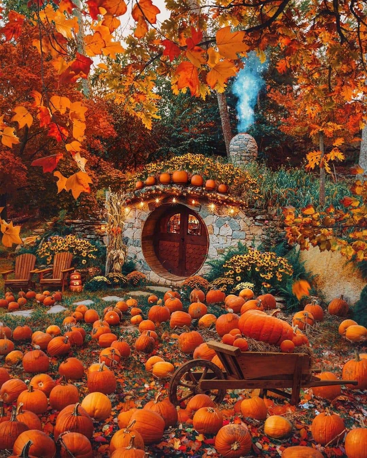 Pumpkin Season