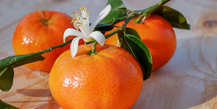 #mandarin orange