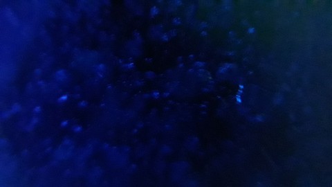 Blue Bublle