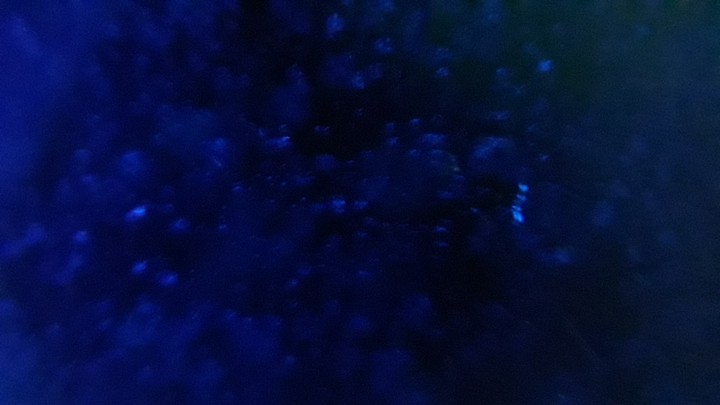 Blue Bublle