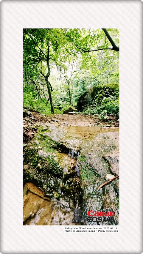 רקעים Wilderness, creek