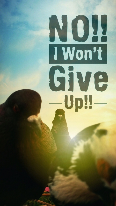 DON'T GIVE UP!