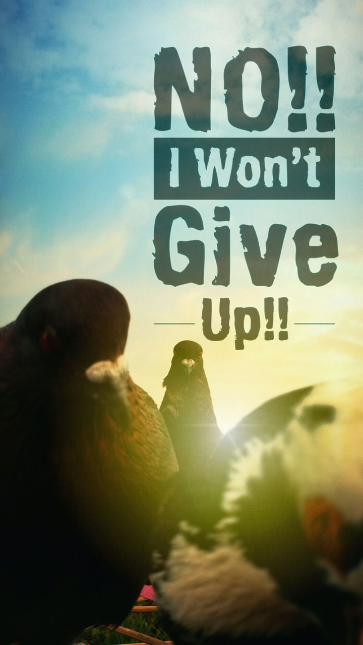 DON'T GIVE UP!