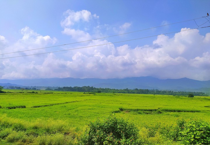 Countryside NP