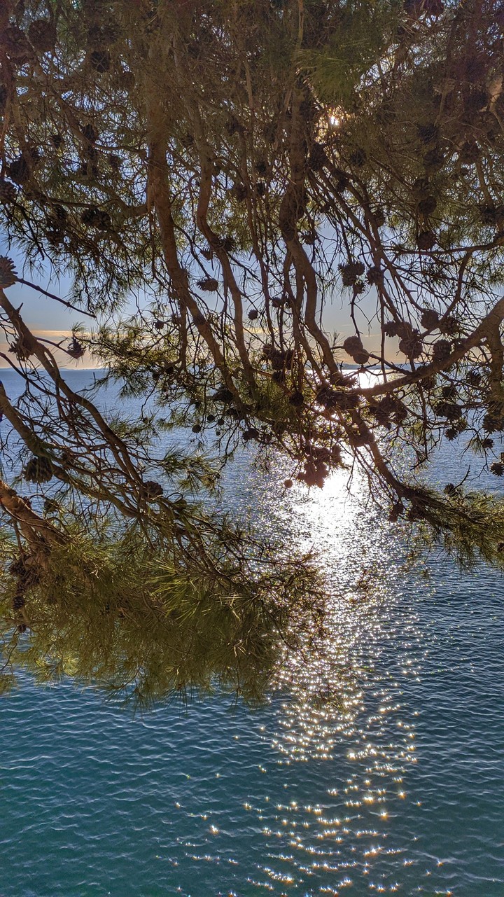 Sunny sea