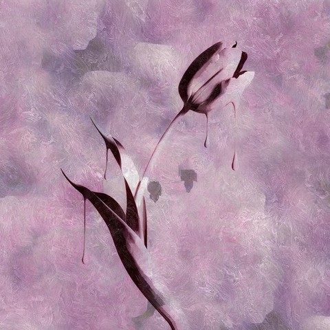 Blossom?