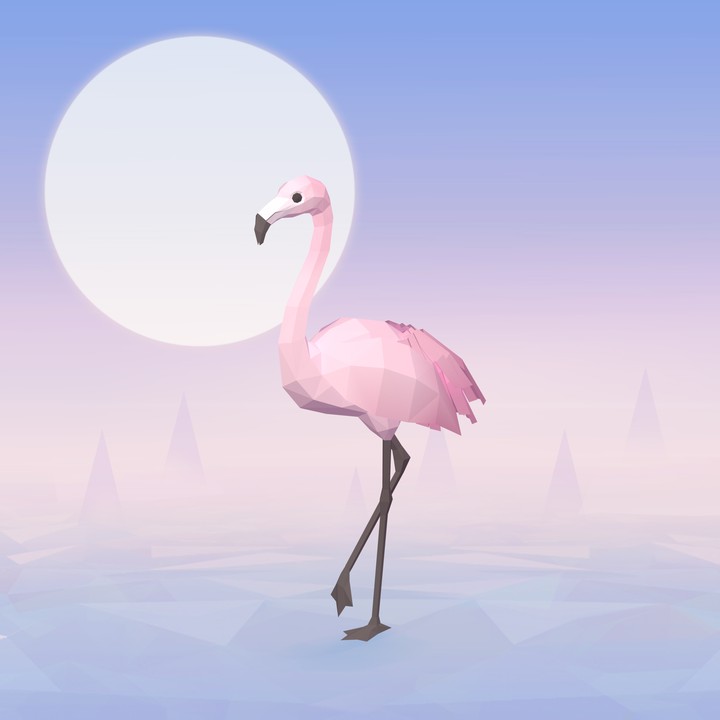 my oasis - flamingo