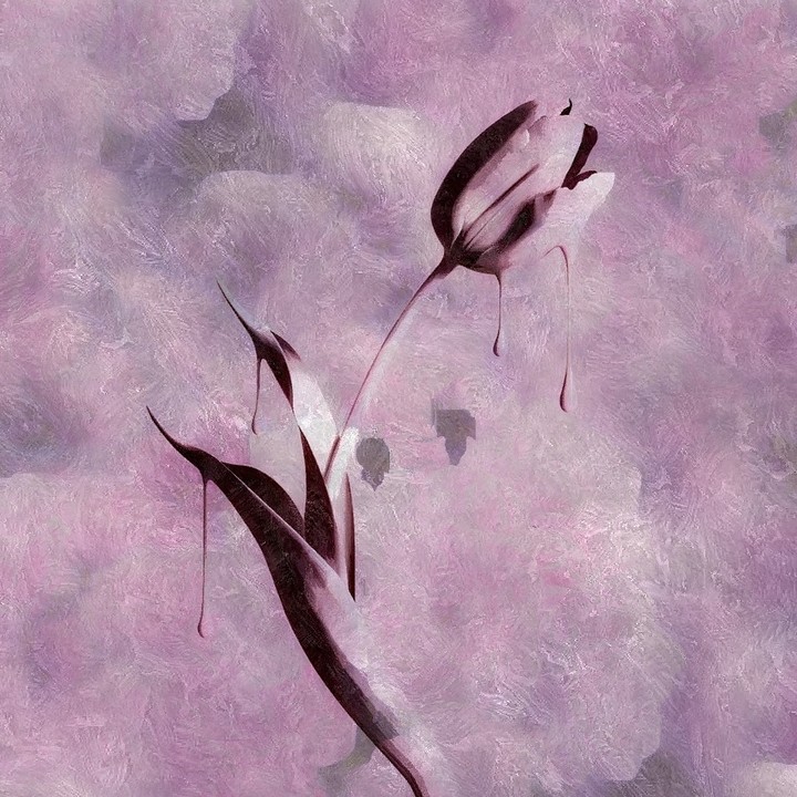 Blossom?