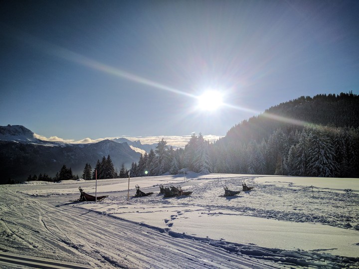 Snow, sun, cross country ski tracks and husky sledges