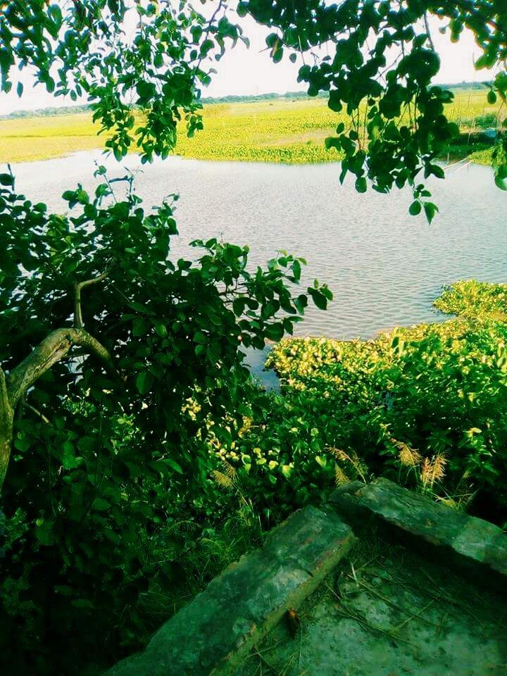 river