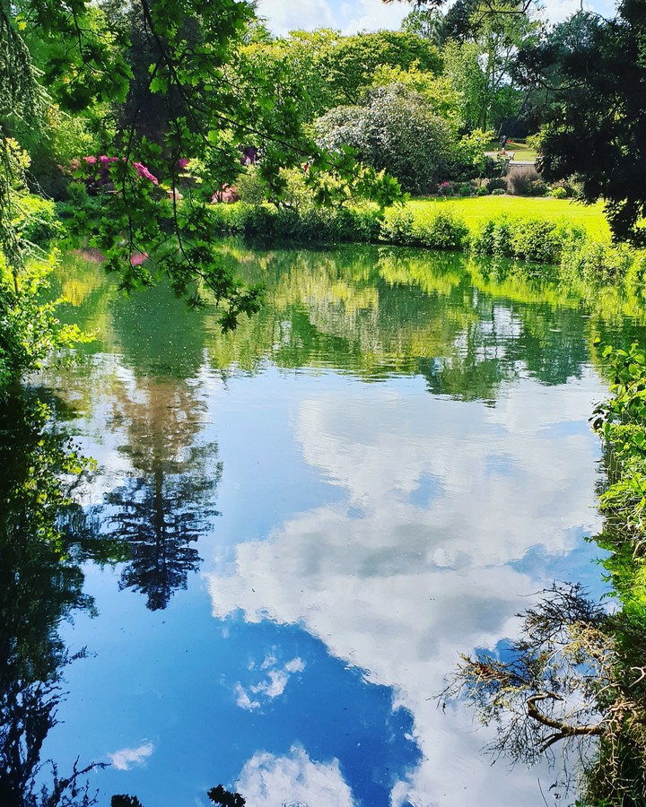 Nature