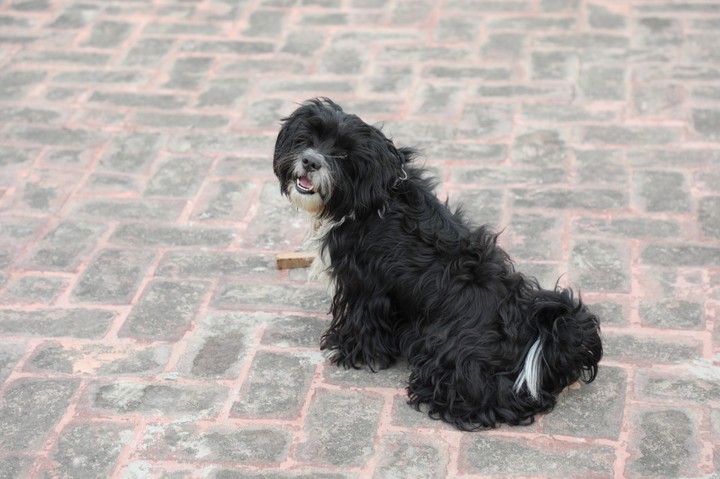 Astro posing