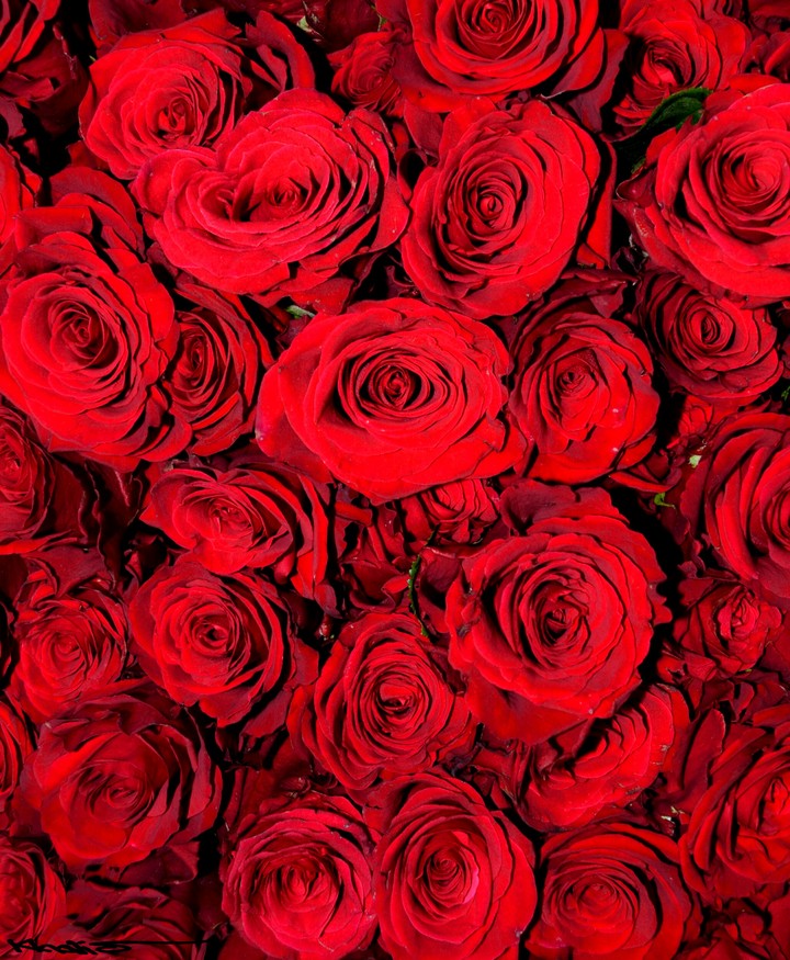 red