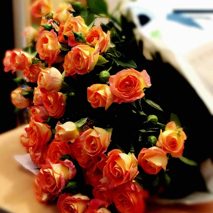 rose
