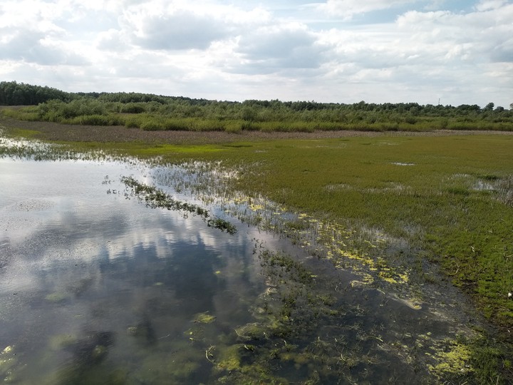 backwater