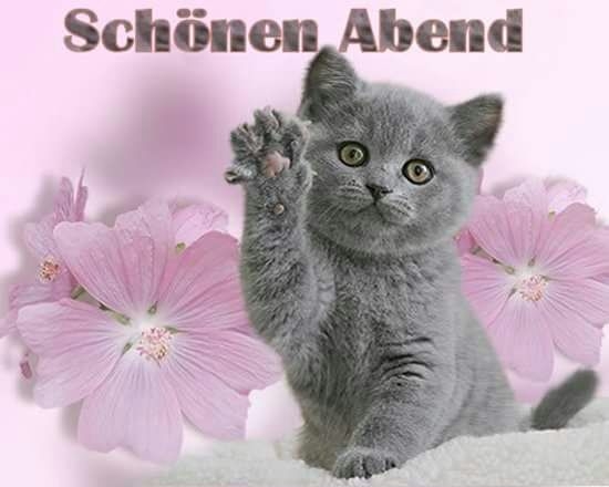 schönen abend