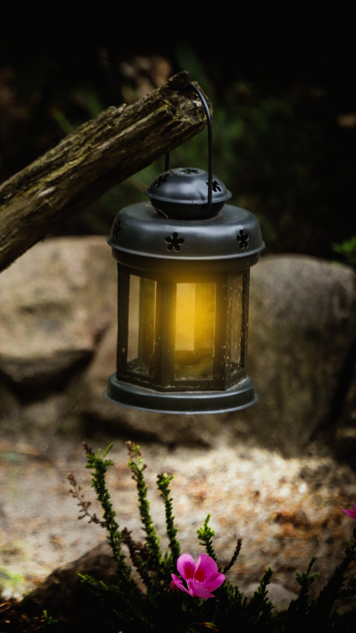 lantern