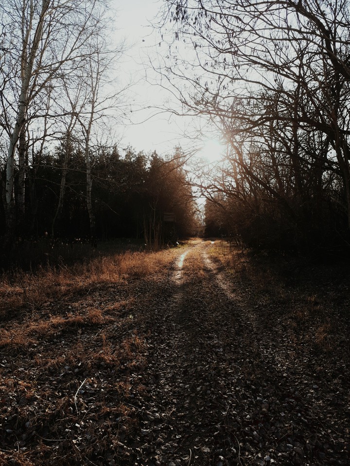 path