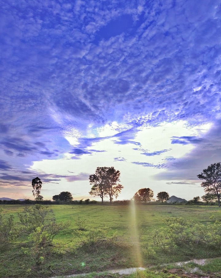 lovely evening