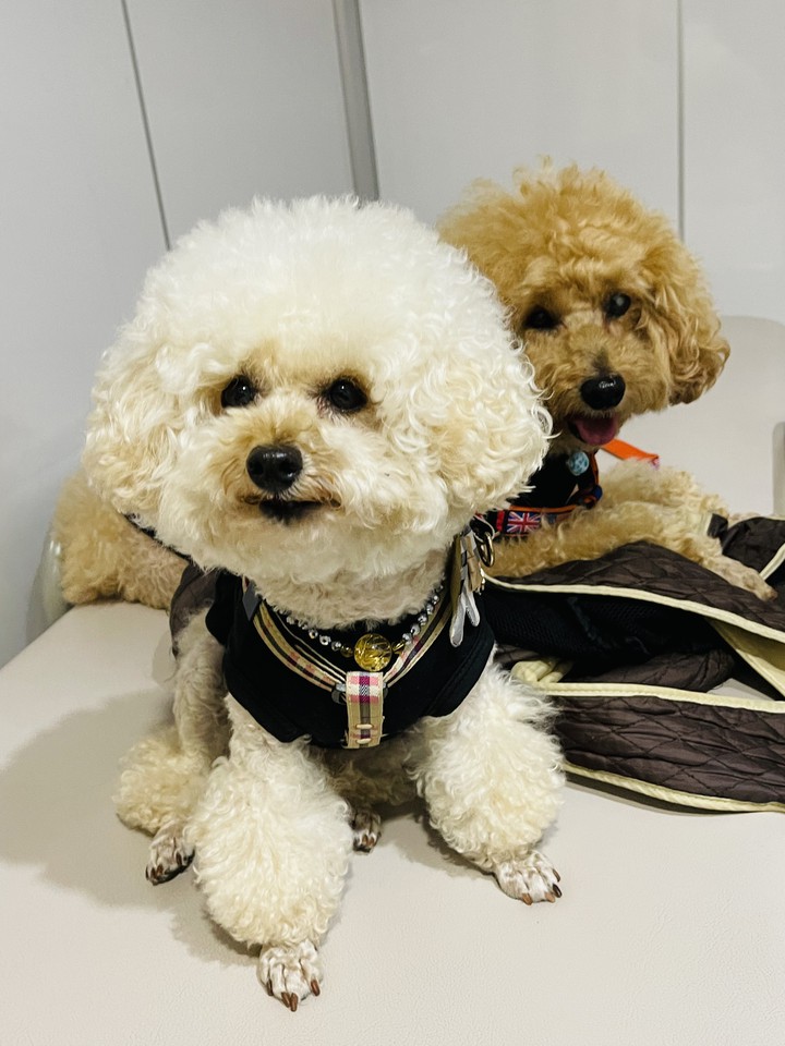 Lucky & Money