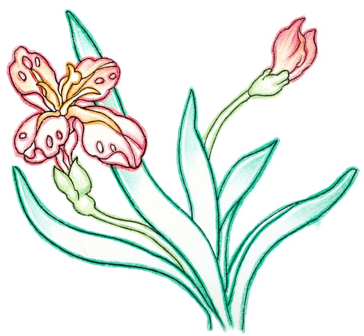 클립아트시리즈