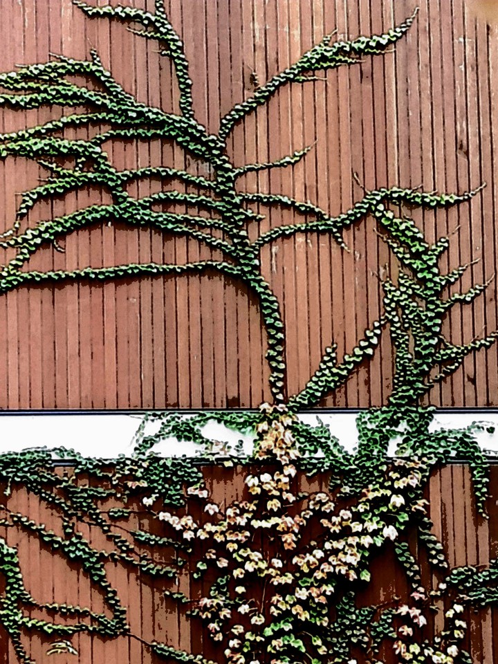 풍경