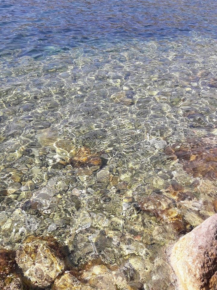 море