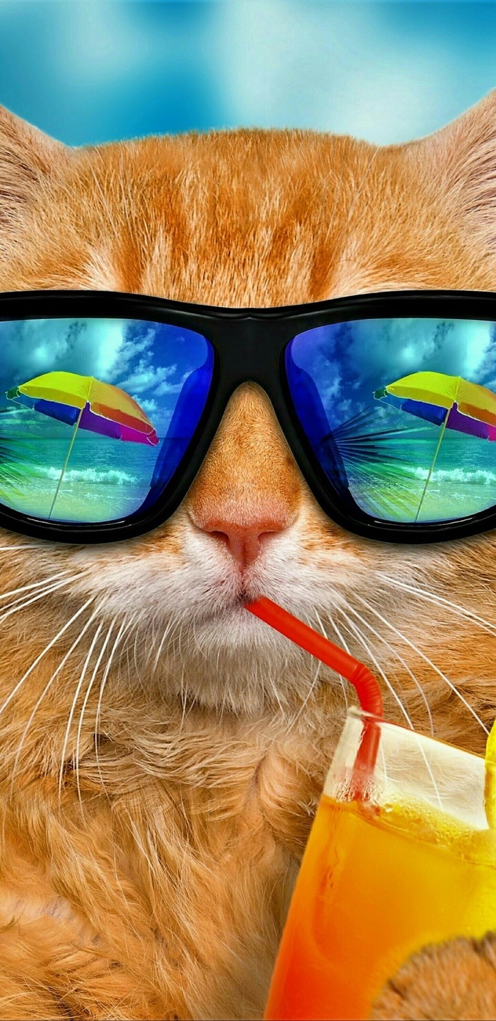 miał