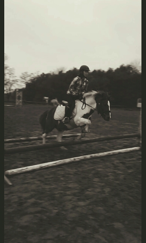 cso
