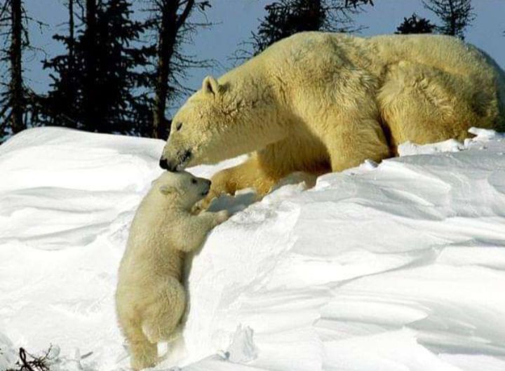 Motherhood