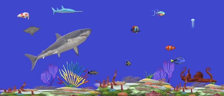 Ocean