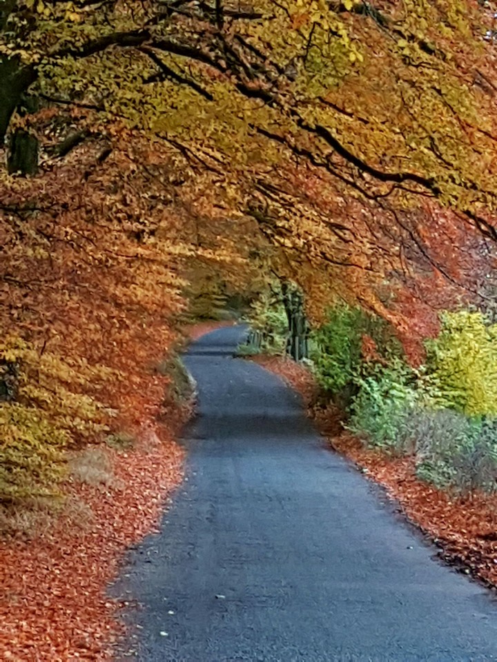 Ravensdale in Autumn