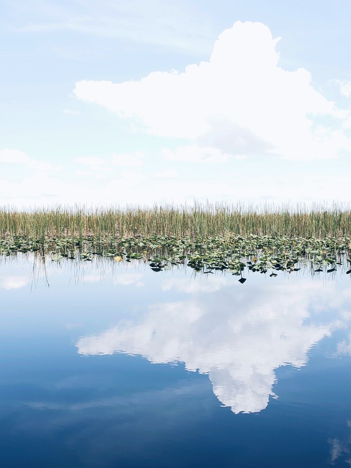 Everglades Holiday Park