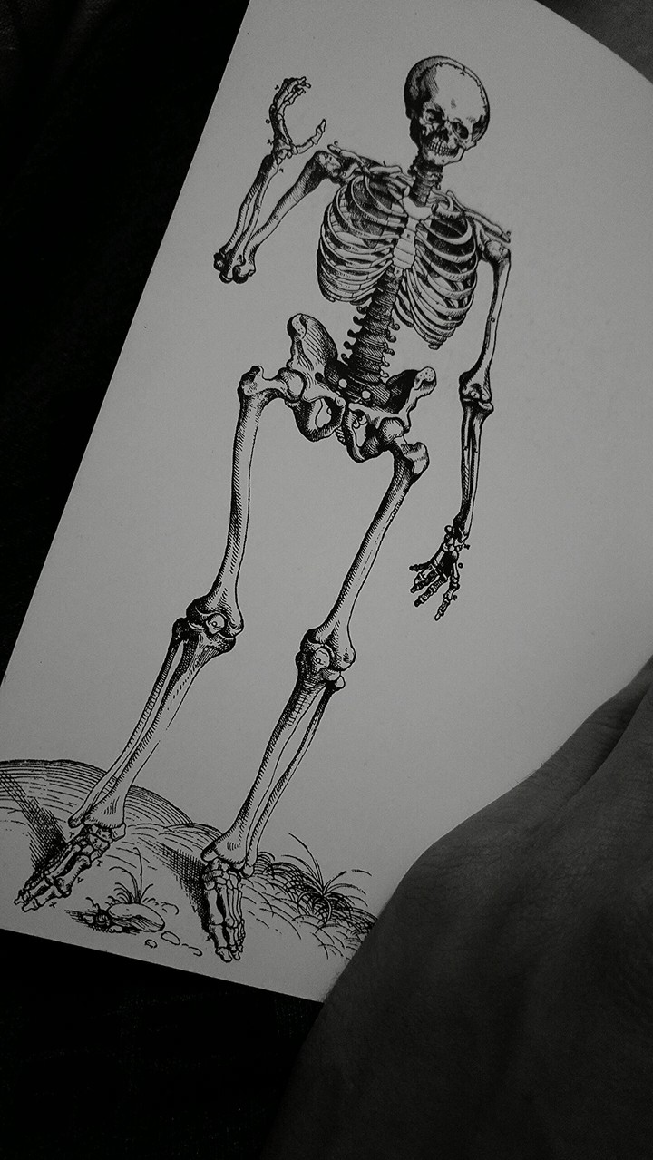 skelation