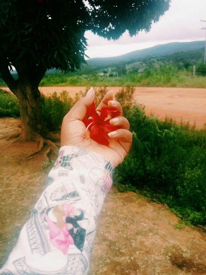flower