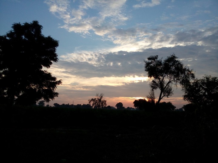 Evening