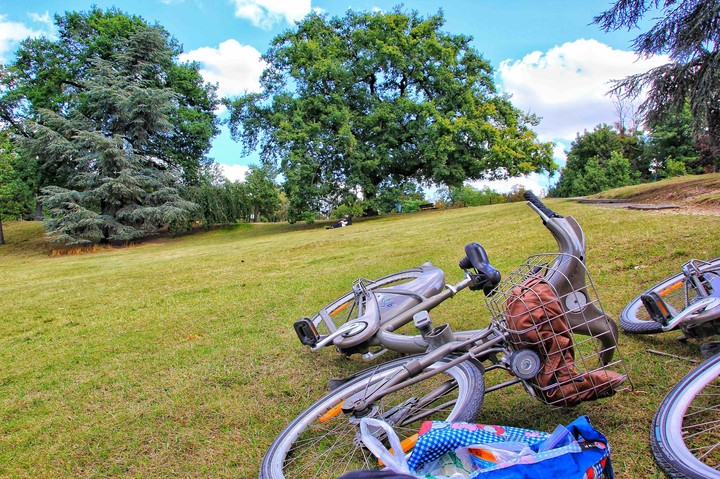 Picnic