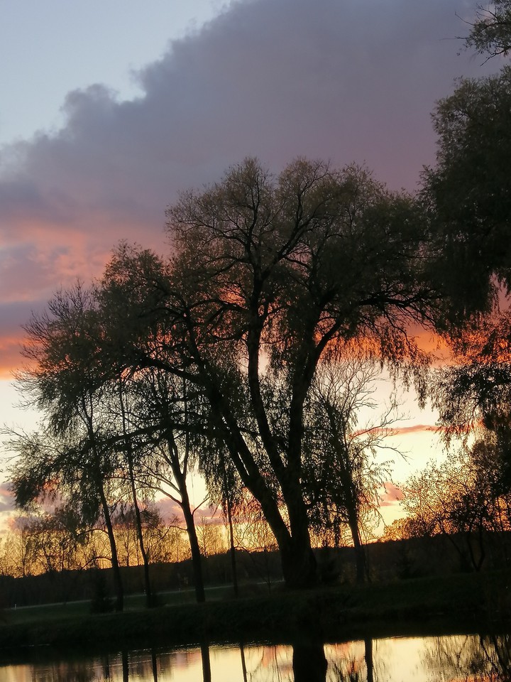 Evening