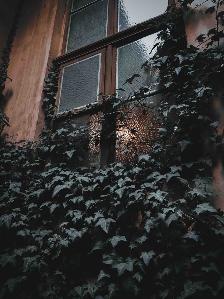 window