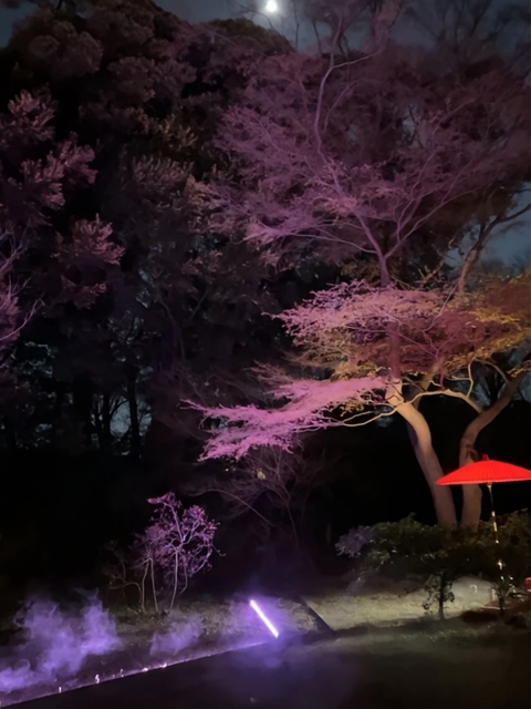tapety landscape, illumination