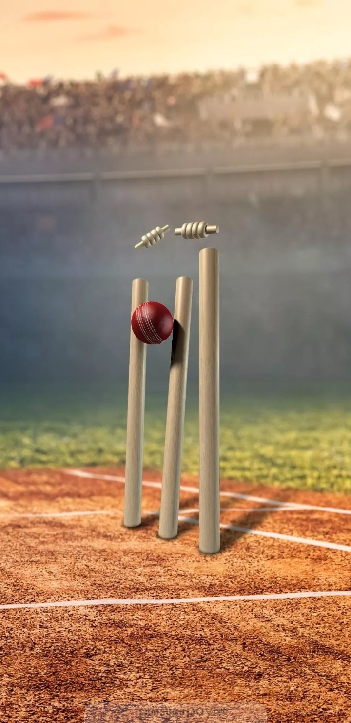 cricket