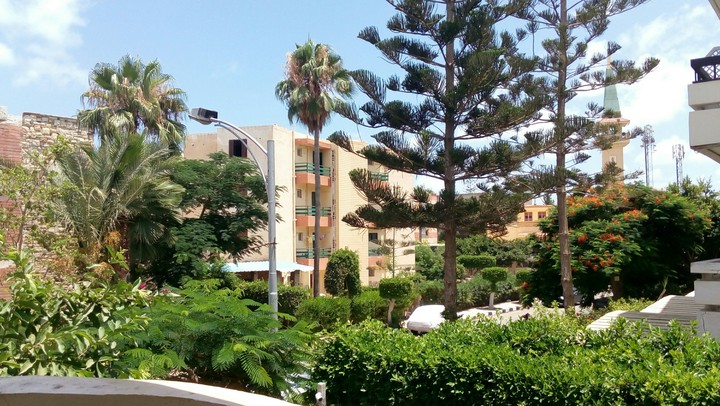 You should visit Alexandrai guys it's wonderful
