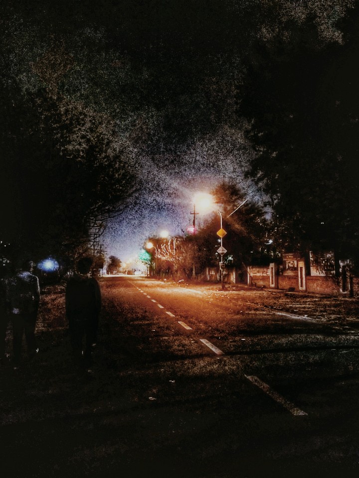 The Night Walk