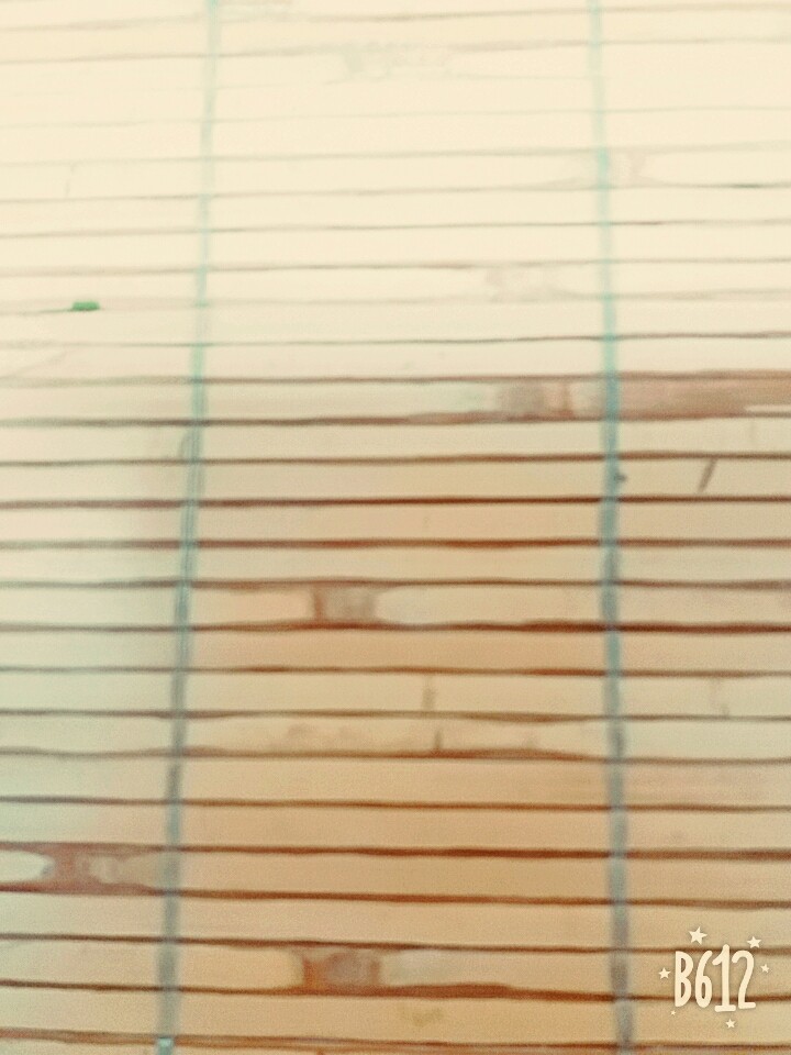 바닥