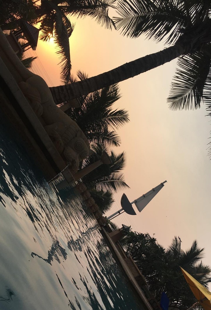 a perfect evening