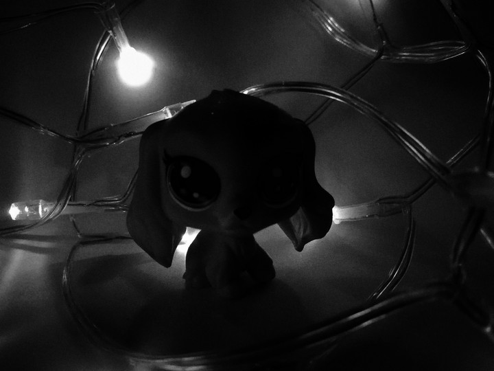 lps #lps