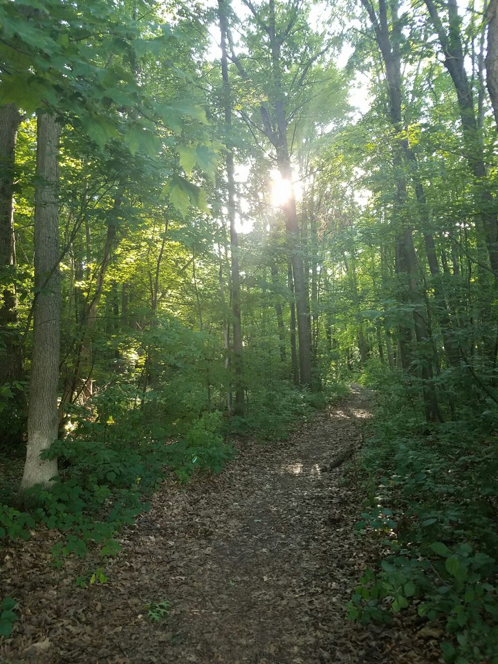 Trail