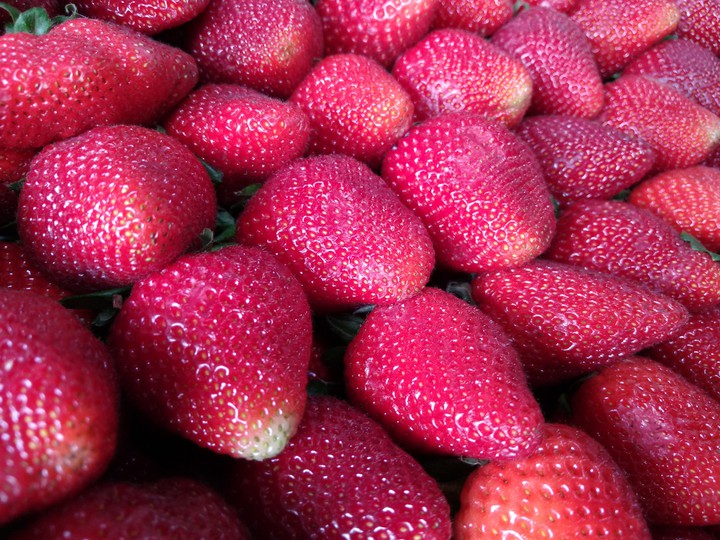 frutillas