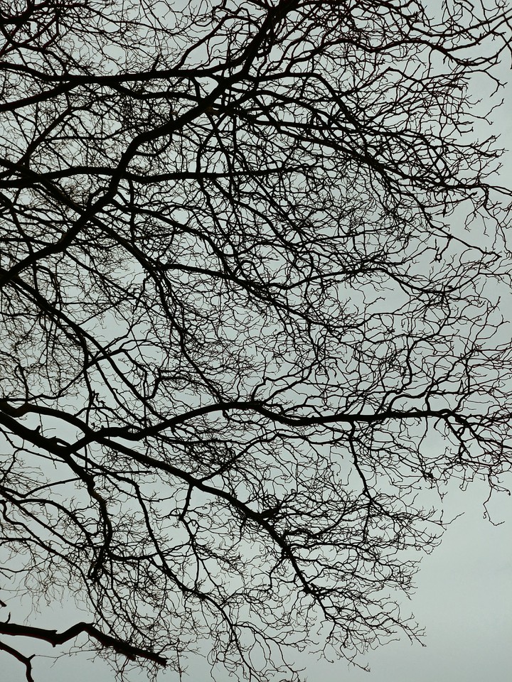 branching out