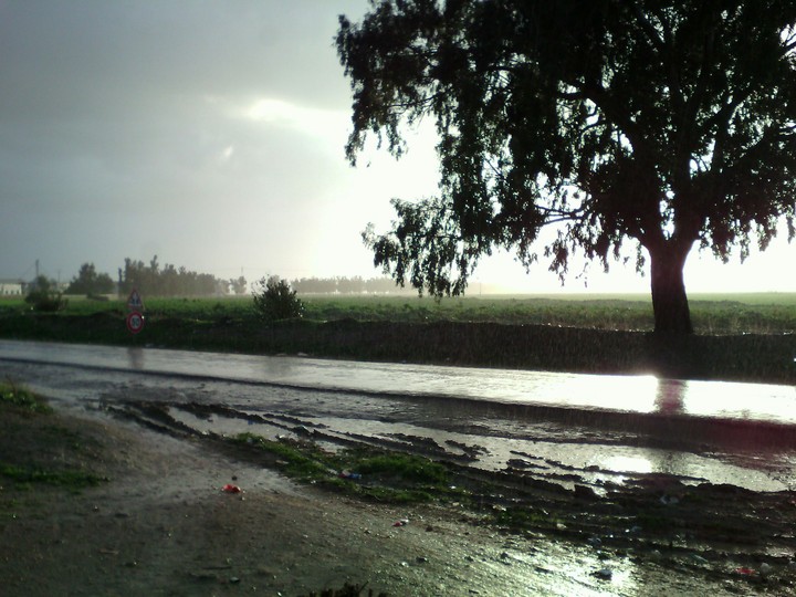 bin_bachir